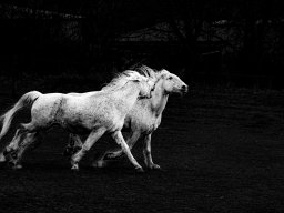 Török Gabriella - Vita